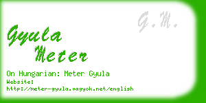 gyula meter business card